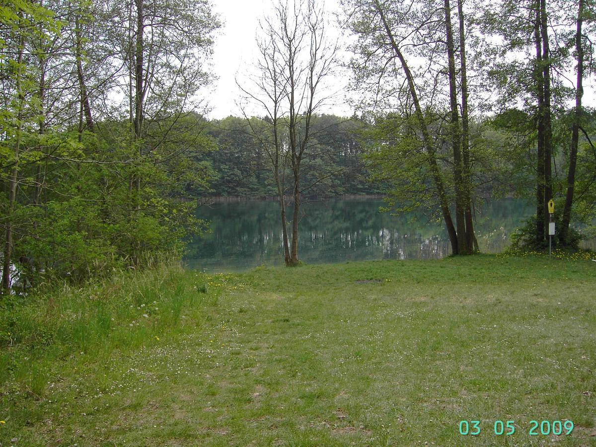 Ferienwohnung Luzinblick Feldberger Seenlandschaft Bagian luar foto